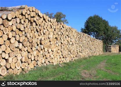 Steres for logs cut in fuel wood for renewable