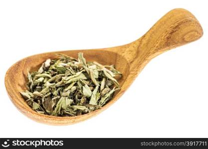 stevia dried leaves on wooden spoon isolated on white - natural sweetener, sugar substitute
