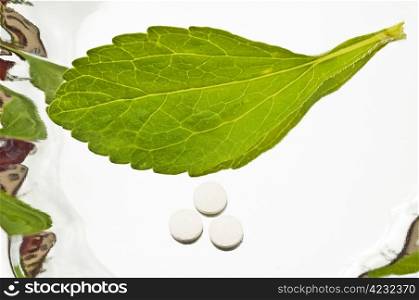 Stevia rebaudiana, support for sugar,tablets