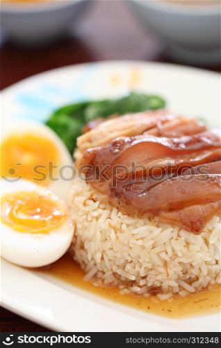 stewed pork leg on rice