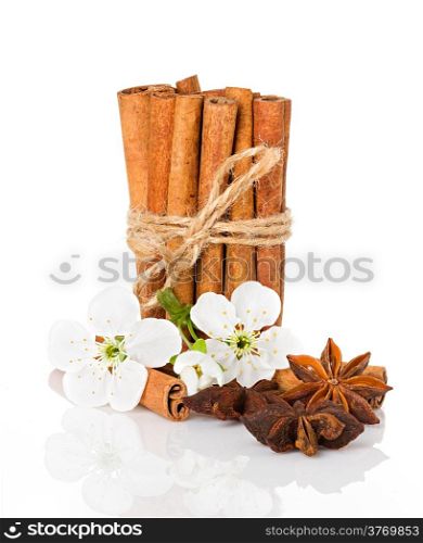stick cinnamon, anise star and apple flowers isolated