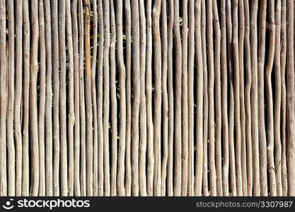 stick white wood trunk fence in tropical Mayan wall