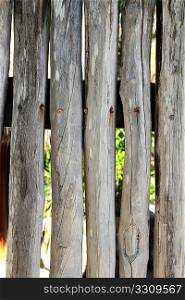 stick white wood trunk fence in tropical Mayan wall