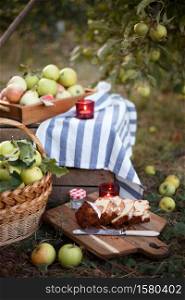 still life - basket with juicy apples, cupcake and candles in the garden. atmosphere and mood