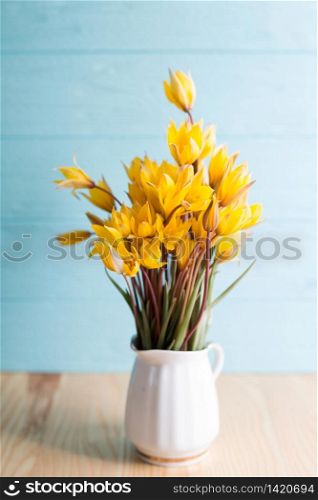still life - beautiful wild yellow tulips in a vintage vase on a blue background