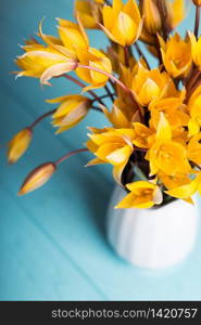 still life - beautiful wild yellow tulips in a vintage vase on a blue background