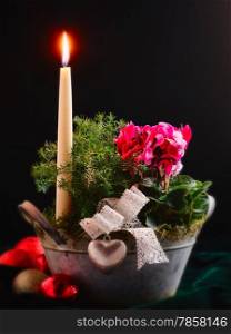 Still life, candle and flowers in a pot, christmas theme