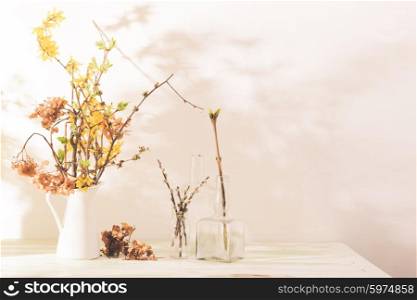 Still life from dry branches with buds in jug and shadows on wall. Sping concept. Old and new life