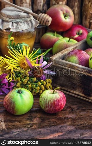 Still life from the harvest of ripe apples and honey to the Church celebration of the apple feast day