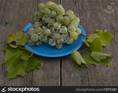 still life grapes on a blue plate and branches of leaves, a subject summer fruit