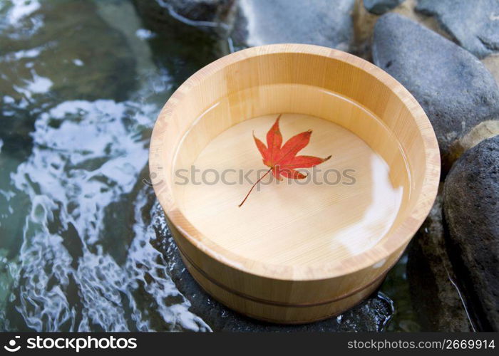 Still life in Japanese garden