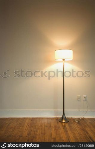 Still life of floor lamp on hardwood floor.