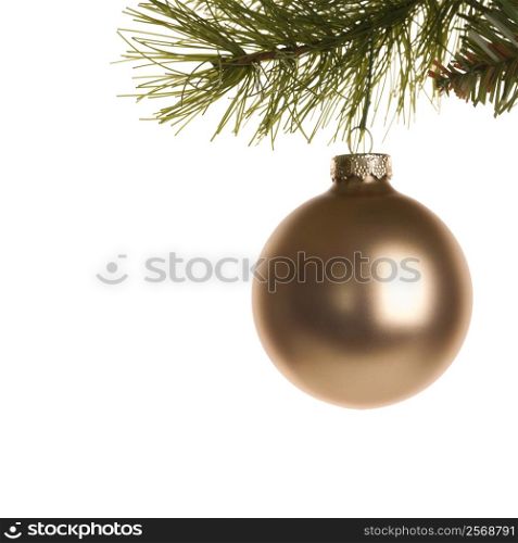Still life of gold Christmas ornament hanging from pine branch.