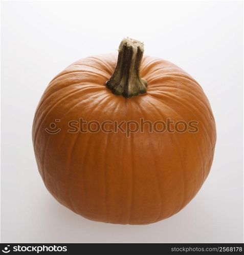 Still life of orange pumpkin against white background.