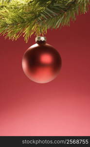 Still life of round red Christmas ornament hanging from pine branch.