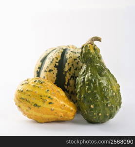 Still life of three multicolored textured gourds.