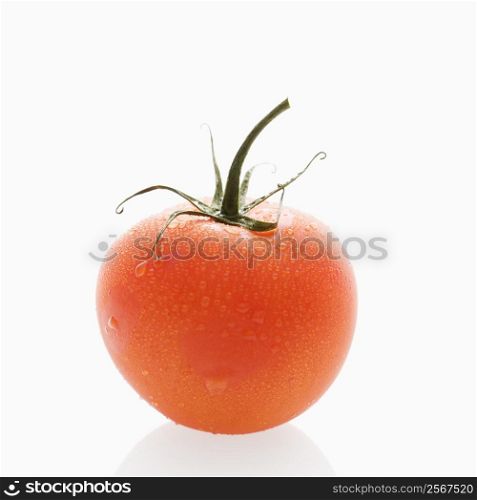 Still life of wet red ripe tomato against white background.