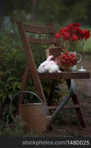 still life - vase with poppies, strawberries and rabbit on a vintage wooden chair in the garden. atmosphere and mood