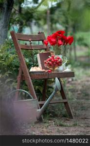 still life - vase with poppies, strawberries, rolls and books stand on a vintage wooden chair in the garden. atmosphere and mood