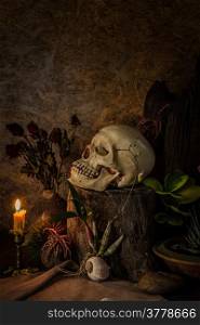 Still life with a human skull with desert plants, cactus, roses and dried flowers in a vase beside the timber.