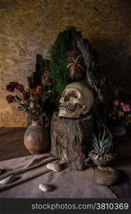 Still life with a human skull with desert plants, cactus, roses and dried flowers in a vase beside the timber.