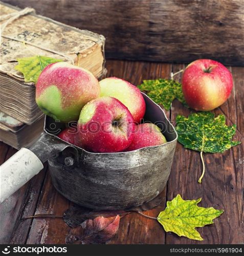 Still life with autumn apples. Autumn apples in old stylish saucepan amid the buckets of fallen leaves