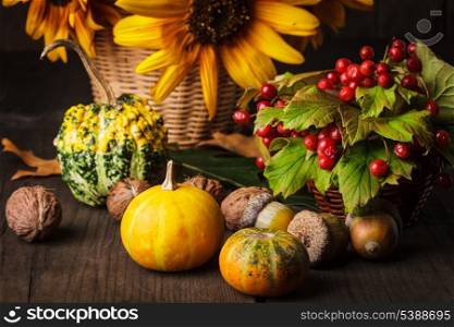 Still life with autumn harvest on wood background