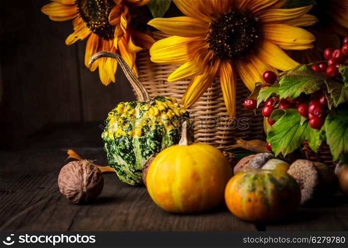 Still life with autumn harvest on wood background