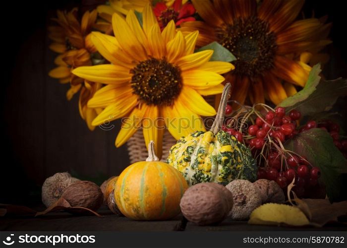 Still life with autumn harvest on wood background. Still life in colours of autumn