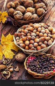 Still life with autumn harvest walnuts