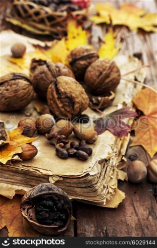 Still life with autumn harvest walnuts