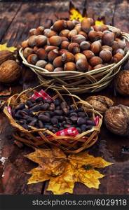 Still life with autumn harvest walnuts on wooden background. Walnuts
