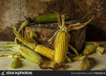 Still life with corn placed on the timber.