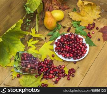 Still-life with cranberries, pears and autumn leaves