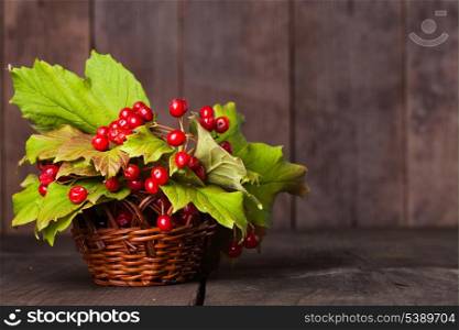 Still life with guelder rose and copyspace with wood background