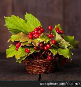 Still life with guelder rose on the wood background