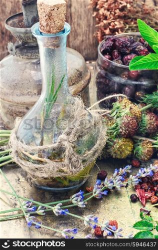 Still life with harvest medicinal herbs. carafe of medicinal decoction on the background of medicinal herbs