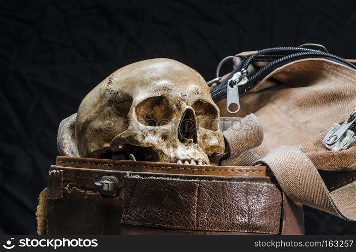 Still life with human skull are placed in old leather box isolated on black background