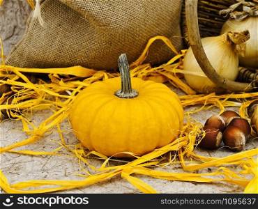Still Life With Pumpkin, Basket, Onion, Linen And Orange Bows. Still Life