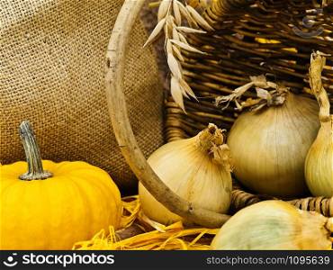 Still Life With Pumpkin, Basket, Onion, Linen And Orange Bows. Still Life