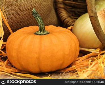 Still Life With Pumpkin, Basket, Onion, Linen And Orange Bows. Still Life