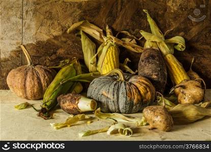 Still life with pumpkin, corn, taro, yam for cooking.