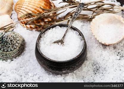 still-life with salt cellar, shells and coarse grained Sea Salt close up