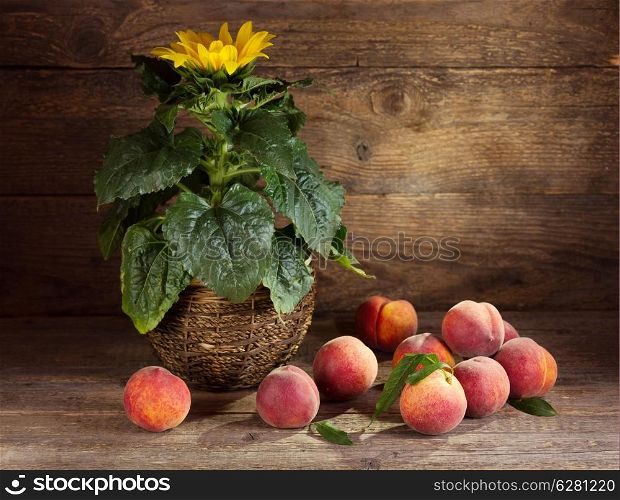Still life with sunflower and peaches on wooden background