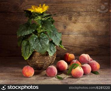 Still life with sunflower and peaches on wooden background
