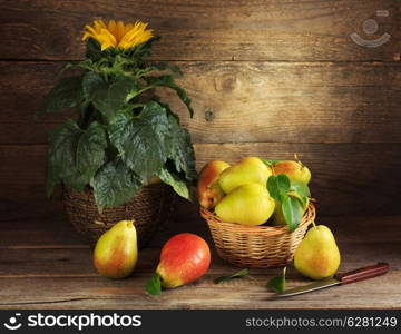 Still life with sunflower and pears on wooden background