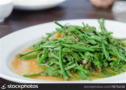 Stir fried chayote with chili . Stir fried chayote with chili on white dish
