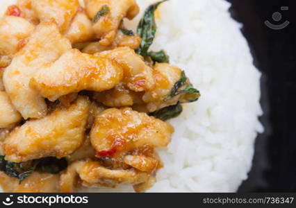 Stir-Fried Chicken and Holy Basil on Rice or Thai Food Recipe Flatlay Left Frame. Stir-Fried Chicken and Holy Basil with white rice on black dish