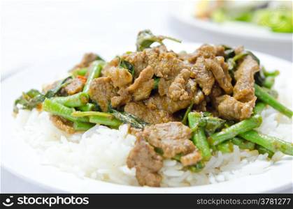 stir fry chinese cowpea and pork with curry sauce over rice
