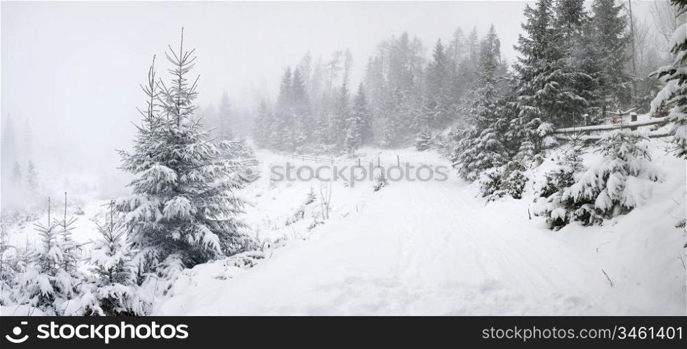 Stock photo: an image of a road in winter forest